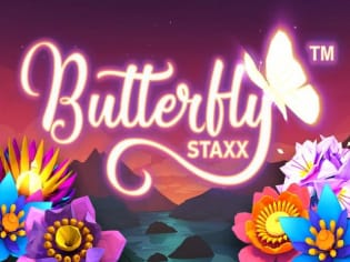 Butterfly Staxx thumbnail